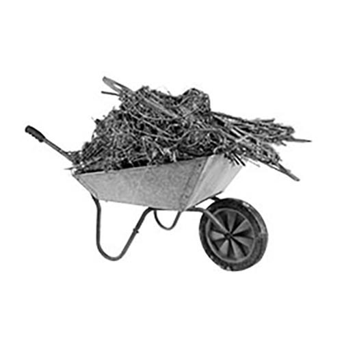 Dispose of Yard Waste Right